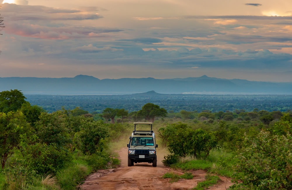 Important Questions to Ask When Renting a Car in East Africa